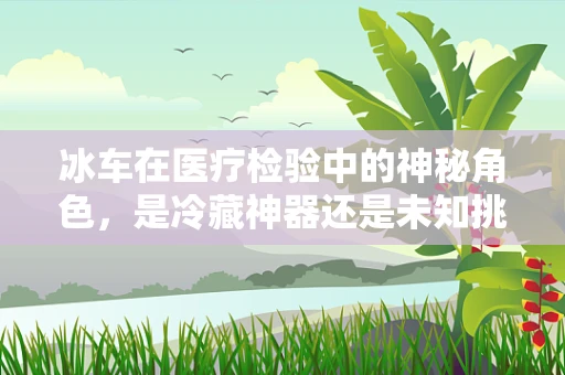 冰车在医疗检验中的神秘角色，是冷藏神器还是未知挑战？