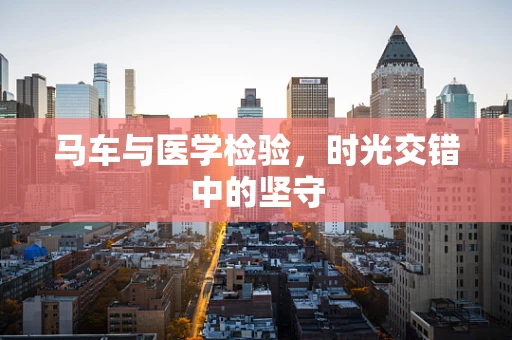 马车与医学检验，时光交错中的坚守