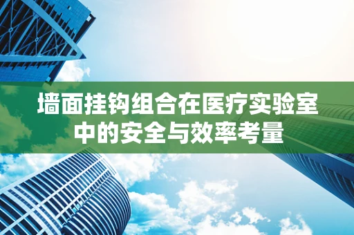 墙面挂钩组合在医疗实验室中的安全与效率考量