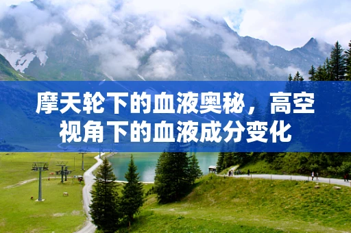 摩天轮下的血液奥秘，高空视角下的血液成分变化