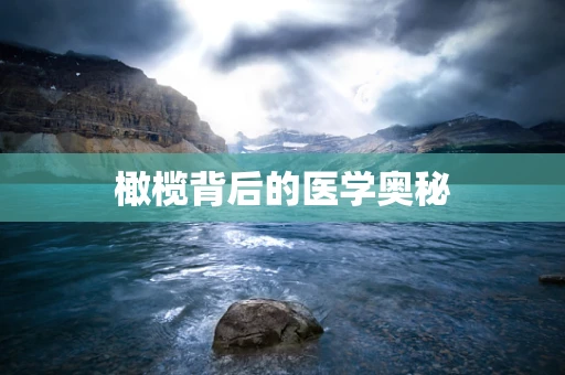 橄榄背后的医学奥秘