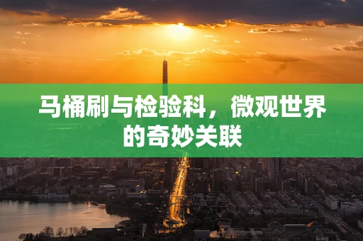 马桶刷与检验科，微观世界的奇妙关联