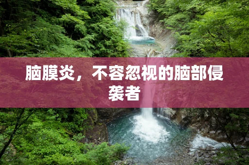 脑膜炎，不容忽视的脑部侵袭者