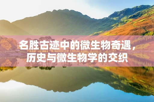 名胜古迹中的微生物奇遇，历史与微生物学的交织