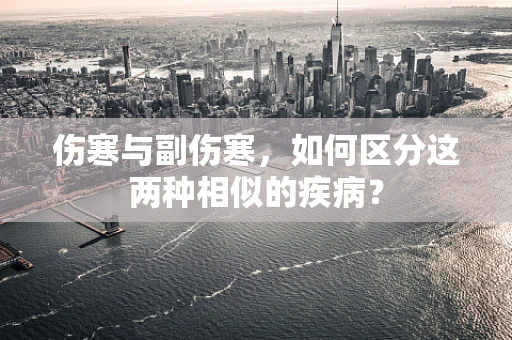 伤寒与副伤寒，如何区分这两种相似的疾病？