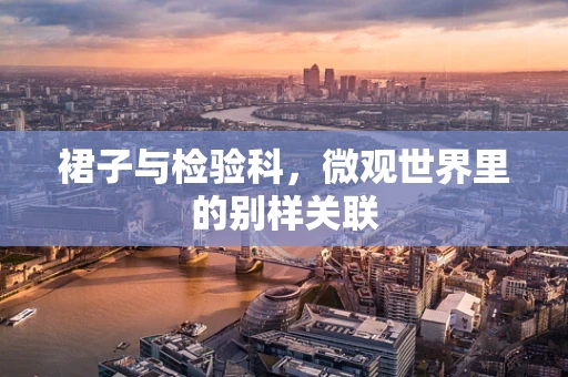 裙子与检验科，微观世界里的别样关联