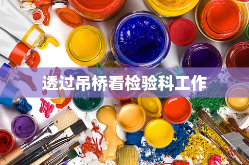 透过吊桥看检验科工作