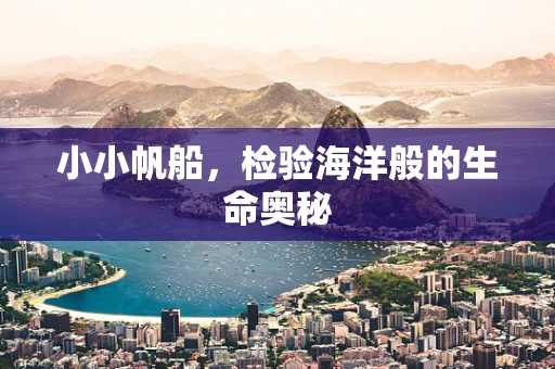 小小帆船，检验海洋般的生命奥秘