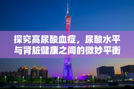 探究高尿酸血症，尿酸水平与肾脏健康之间的微妙平衡