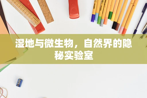 湿地与微生物，自然界的隐秘实验室