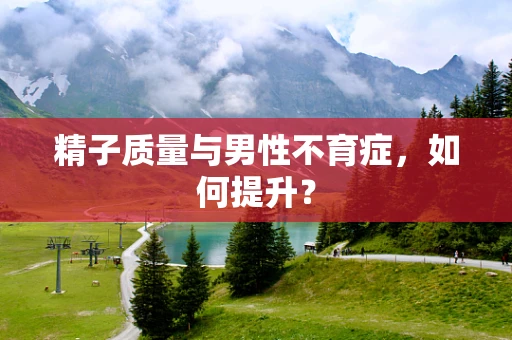 精子质量与男性不育症，如何提升？