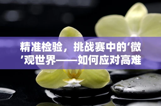 精准检验，挑战赛中的‘微’观世界——如何应对高难度样本的精准检测？