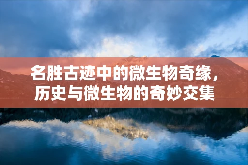 名胜古迹中的微生物奇缘，历史与微生物的奇妙交集