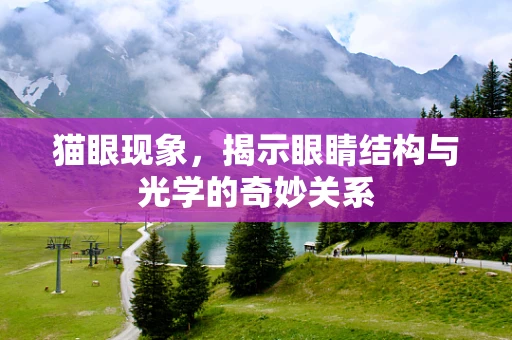 猫眼现象，揭示眼睛结构与光学的奇妙关系