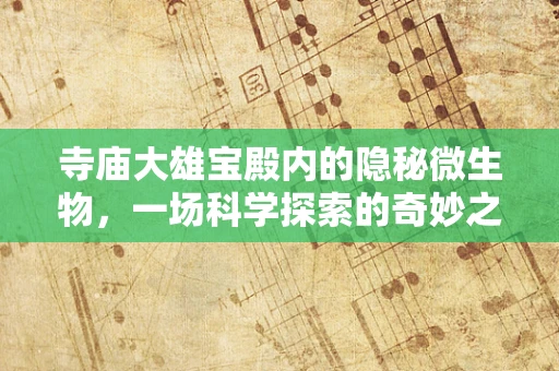 寺庙大雄宝殿内的隐秘微生物，一场科学探索的奇妙之旅