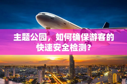 主题公园，如何确保游客的快速安全检测？