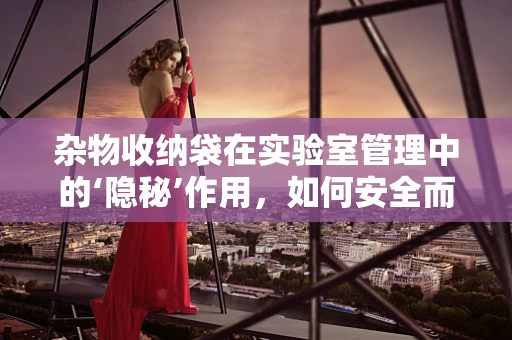 杂物收纳袋在实验室管理中的‘隐秘’作用，如何安全而高效地利用？