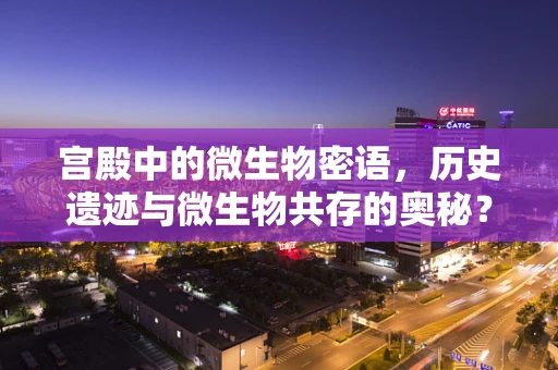 宫殿中的微生物密语，历史遗迹与微生物共存的奥秘？