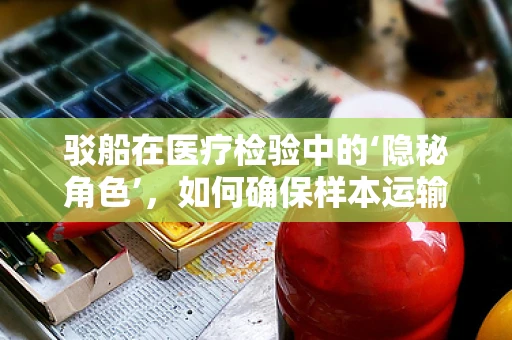 驳船在医疗检验中的‘隐秘角色’，如何确保样本运输的安全与准确？