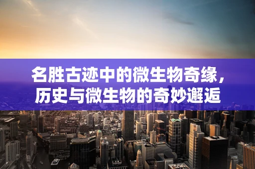 名胜古迹中的微生物奇缘，历史与微生物的奇妙邂逅