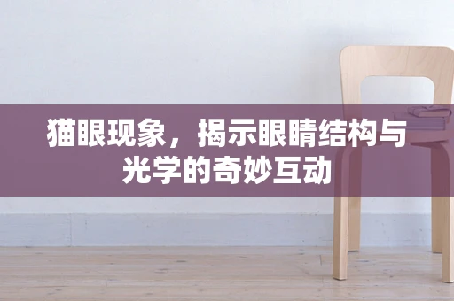 猫眼现象，揭示眼睛结构与光学的奇妙互动