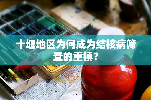 十堰地区为何成为结核病筛查的重镇？