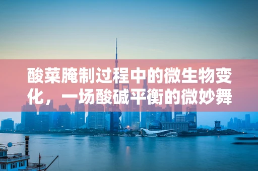 酸菜腌制过程中的微生物变化，一场酸碱平衡的微妙舞蹈