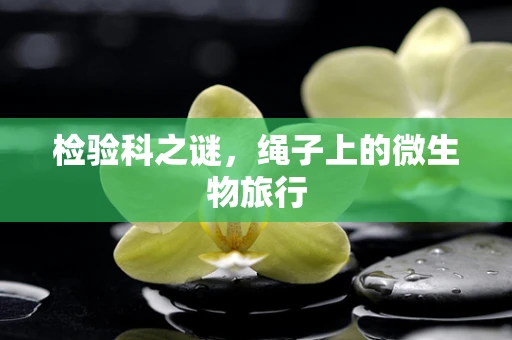 检验科之谜，绳子上的微生物旅行