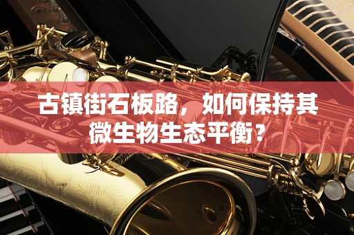 古镇街石板路，如何保持其微生物生态平衡？