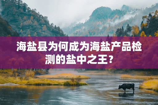 海盐县为何成为海盐产品检测的盐中之王？