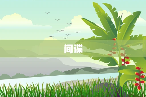 间谍