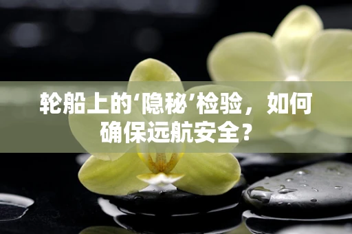 轮船上的‘隐秘’检验，如何确保远航安全？