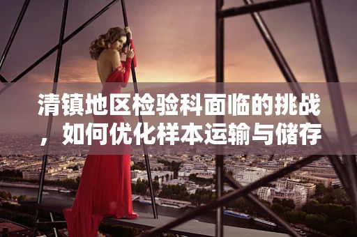 清镇地区检验科面临的挑战，如何优化样本运输与储存？