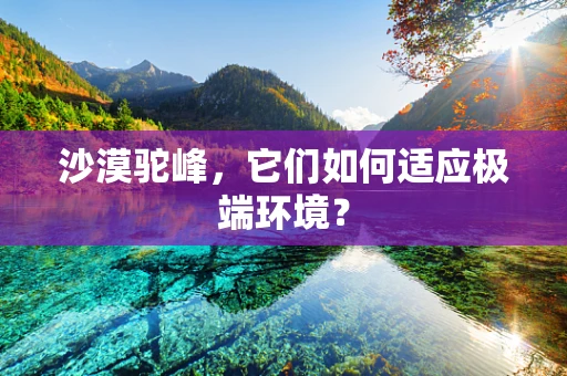 沙漠驼峰，它们如何适应极端环境？