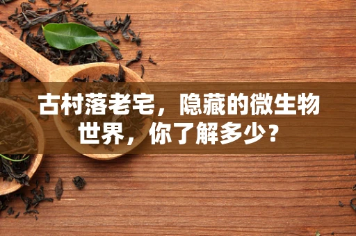 古村落老宅，隐藏的微生物世界，你了解多少？