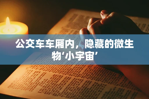 公交车车厢内，隐藏的微生物‘小宇宙’