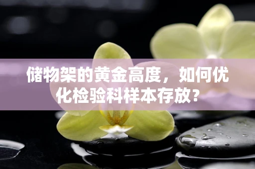 储物架的黄金高度，如何优化检验科样本存放？