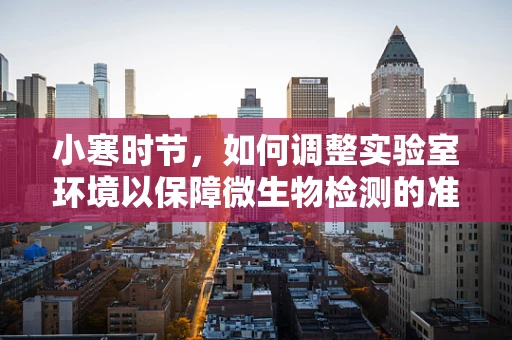 小寒时节，如何调整实验室环境以保障微生物检测的准确性？