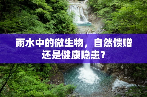 雨水中的微生物，自然馈赠还是健康隐患？