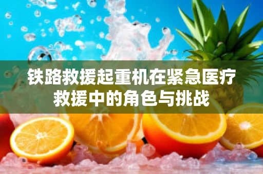 铁路救援起重机在紧急医疗救援中的角色与挑战