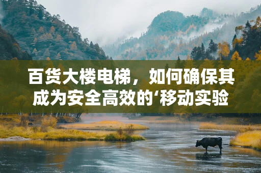 百货大楼电梯，如何确保其成为安全高效的‘移动实验室’？
