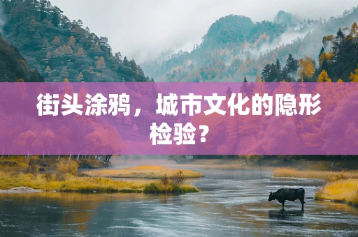街头涂鸦，城市文化的隐形检验？