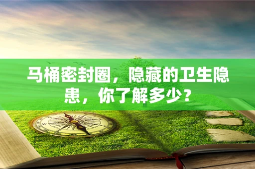 马桶密封圈，隐藏的卫生隐患，你了解多少？