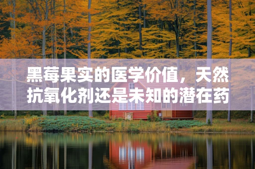 黑莓果实的医学价值，天然抗氧化剂还是未知的潜在药物？