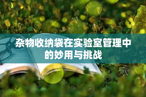 杂物收纳袋在实验室管理中的妙用与挑战