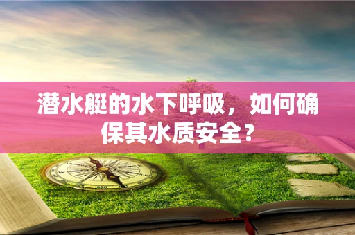 潜水艇的水下呼吸，如何确保其水质安全？