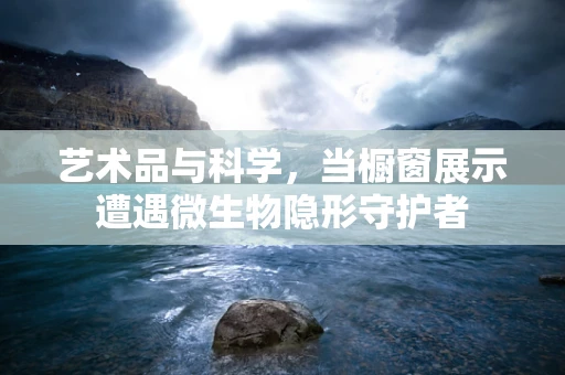 艺术品与科学，当橱窗展示遭遇微生物隐形守护者