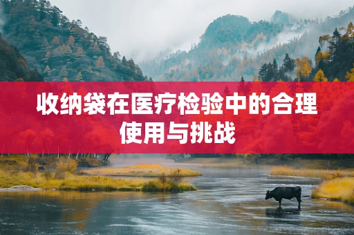 收纳袋在医疗检验中的合理使用与挑战