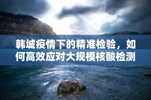 韩城疫情下的精准检验，如何高效应对大规模核酸检测挑战？