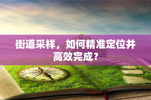街道采样，如何精准定位并高效完成？
